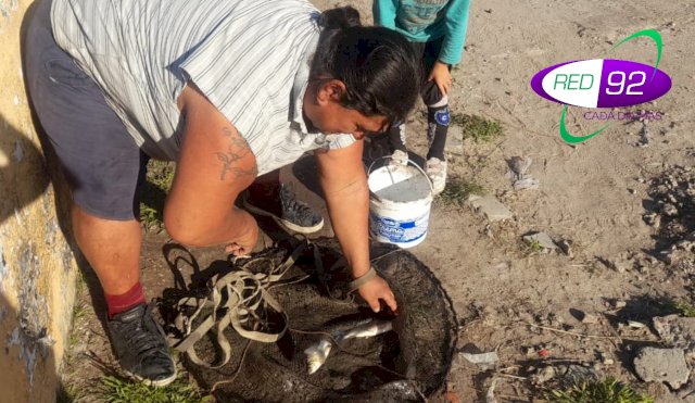 PESCA 3