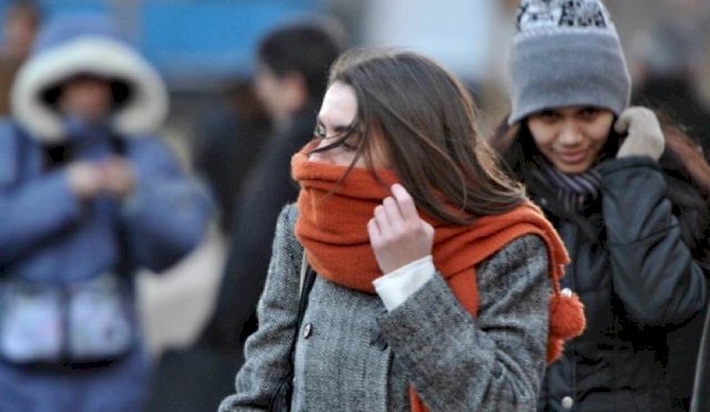 FRIO LA PLATA 
